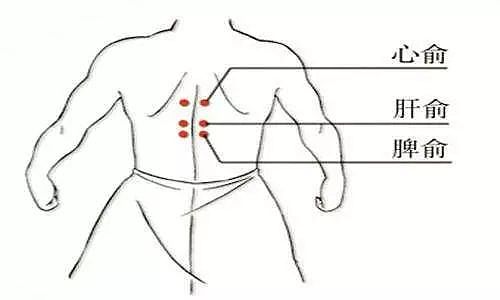 9个特效养生穴，对应九种体质，每天按一按，疾病少一点 - 4