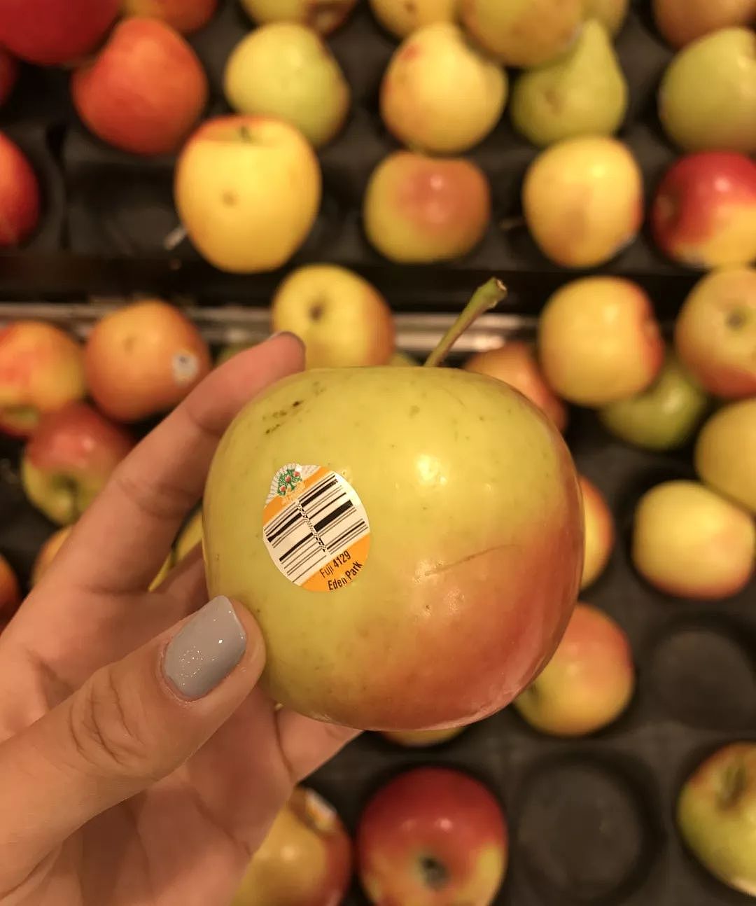 神马？益生菌竟然对身体有害！而澳洲超市里这种常见的$1水果才是真正的王者…… - 43