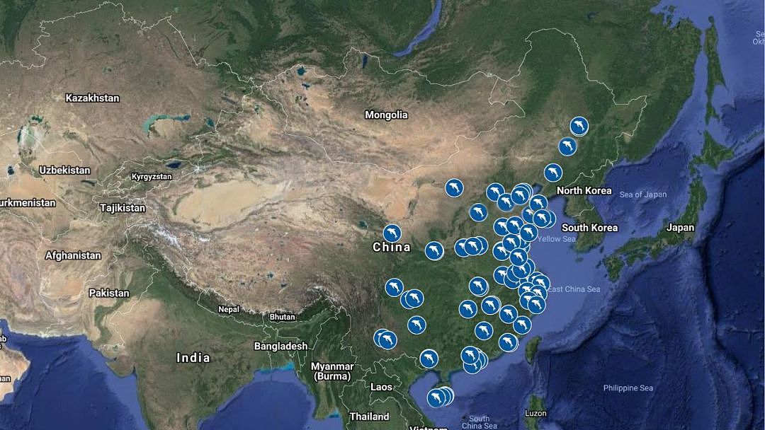 全球最大旅游网站永久下架了火爆中国的游乐项目，却引起业界的一片怒骂！ - 32