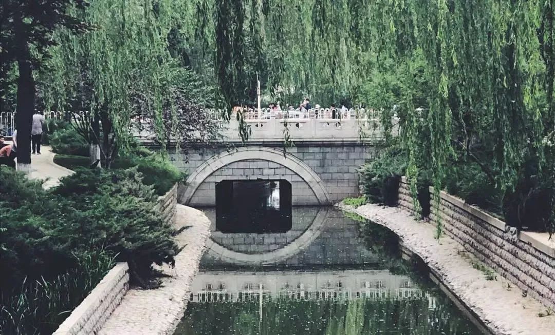 北京菖蒲河相亲角：中国老年人性与爱的真相 - 4