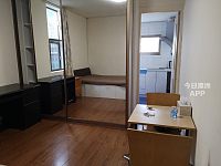 Annandale         近悉尼大学超大Studio出租