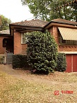 Lidcombe 静街干净房屋招租