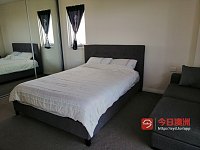 Parramatta     公寓 超大主人套房招租