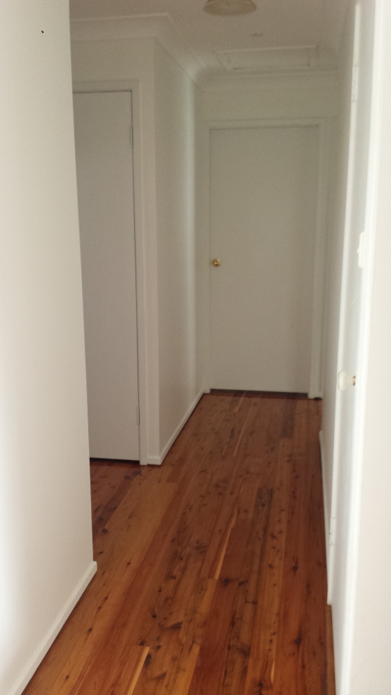 今日悉尼Turramurra 个人 出租 House 单间 $200per/week Turramurra 个人 出租 House 单间 $200per/week