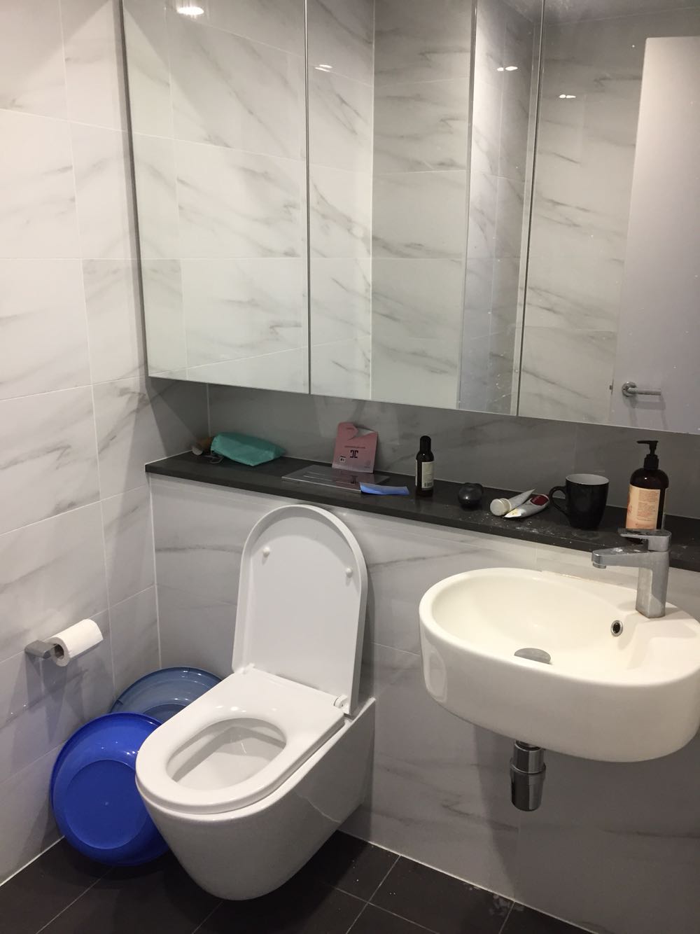 今日悉尼Rosebery 假期出租Apartment单间 Rosebery 假期出租Apartment单间