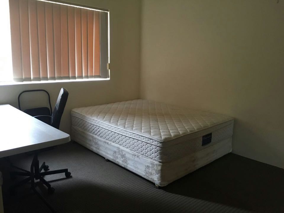 今日悉尼Hurstville 个人 出租 单间 $250per/week Hurstville 个人 出租 单间 $250per/week