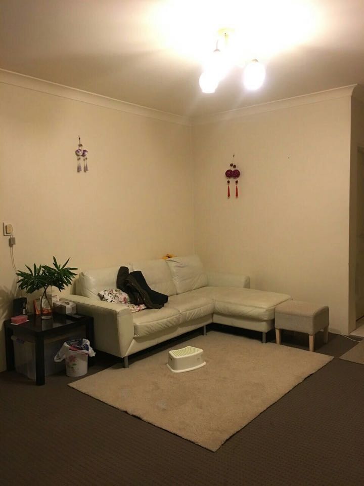 今日悉尼Hurstville 个人 出租 单间 $250per/week Hurstville 个人 出租 单间 $250per/week