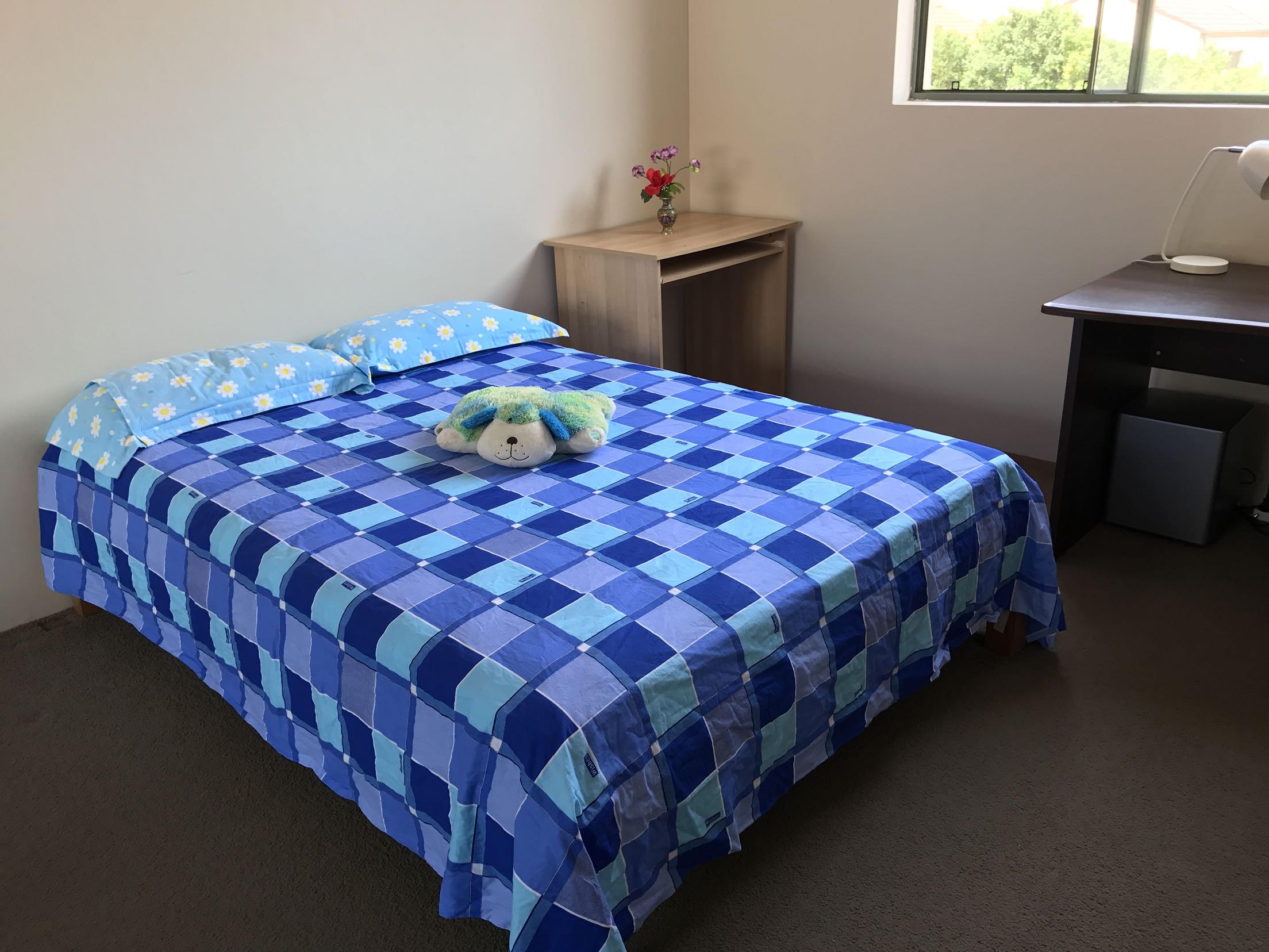 今日悉尼Hurstville 两层House好房单间出租 Hurstville 两层House好房单间出租