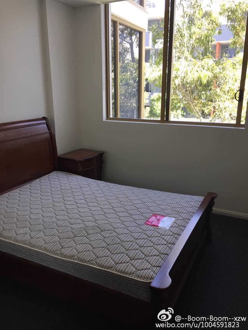 今日悉尼Rhodes 个人 出租 Apartment 单间 $290per/week Rhodes 个人 出租 Apartment 单间 $290per/week