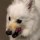 小吉