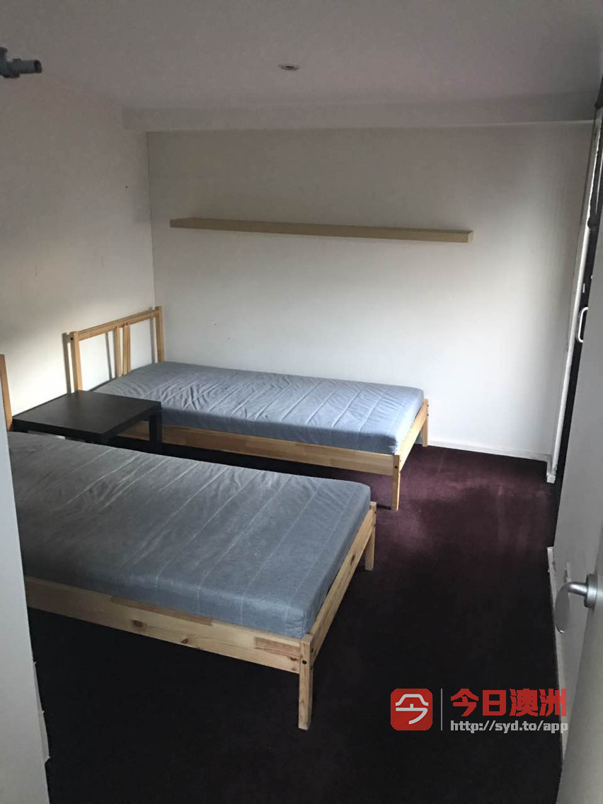 今日悉尼Camperdown 悉大附近双层公寓短租 Camperdown 悉大附近双层公寓短租