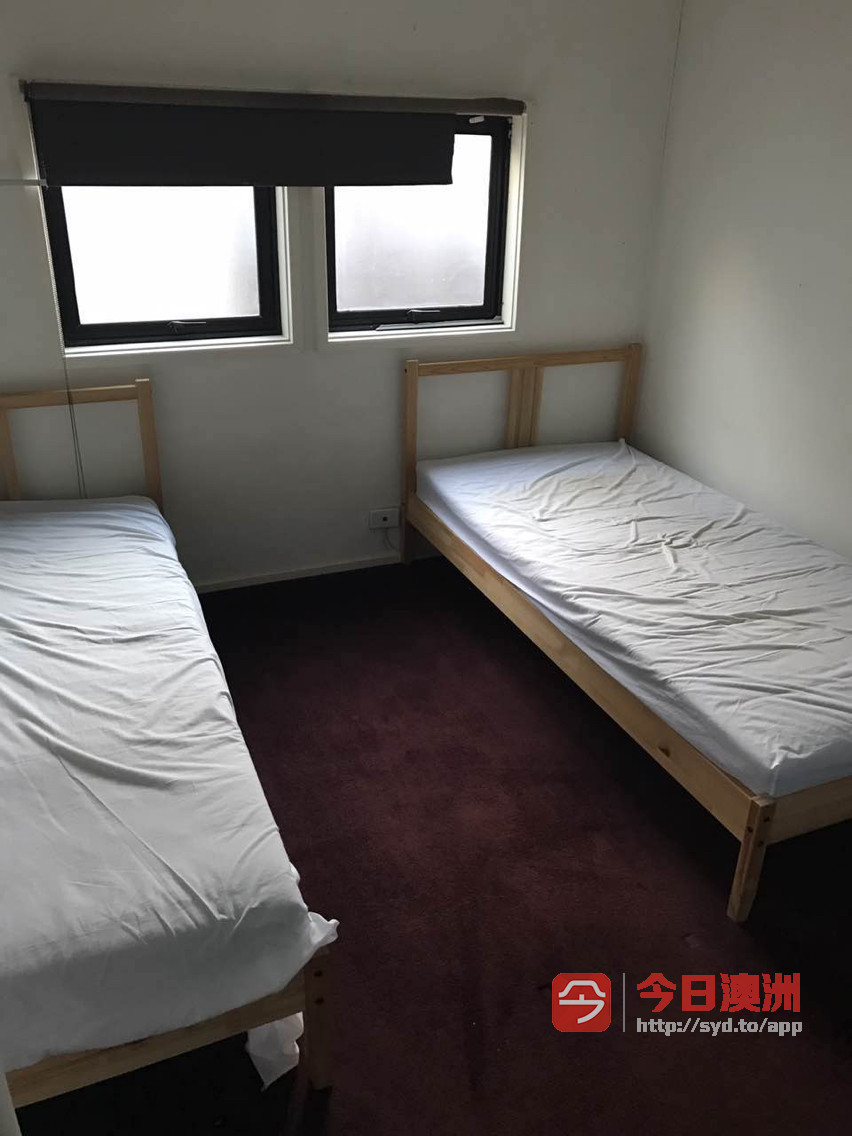 今日悉尼Camperdown 悉大附近双层公寓短租 Camperdown 悉大附近双层公寓短租