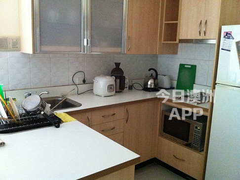 今日悉尼Epping Sdyny House sharing Epping Sdyny House sharing