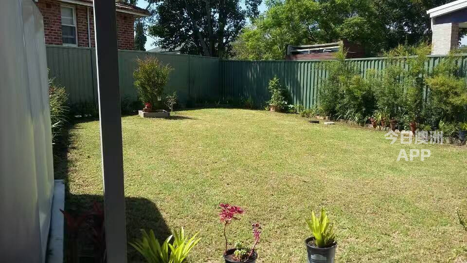 今日珀斯Revesby 火车站附近单人房出租280包bill Revesby 火车站附近单人房出租280包bill