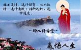 露迪