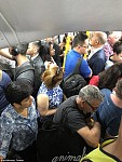 悉尼火车今晨大混乱！百万通勤挤成渣！晚高峰可能更恶劣，CBD火车站或关闭... (视频／组图)