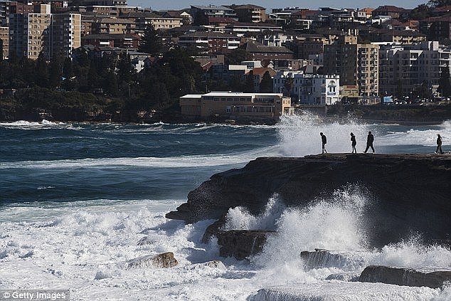 It was any surfers dream on Wednesday, with massive swells around Sydney