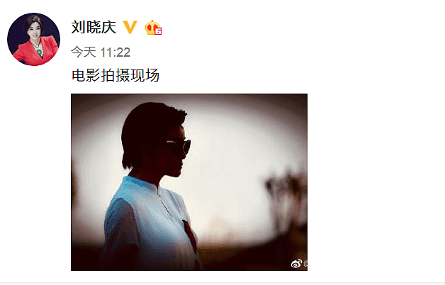 刘晓庆换了个新短发，网友：好帅好酷，就是看起来像男人！（组图） - 3