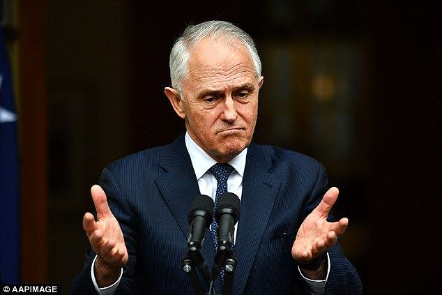 Mr Turnbull's (pictured) resignation from federal parliament will spark a by-election in his seat of WentworthÂ  Â Â 