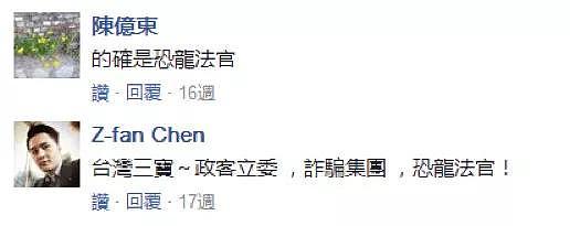 “反杀者无罪”传到台湾 蔡英文又挨骂了！台网友：大陆法律比台湾公道（组图） - 15