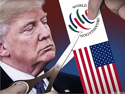WTO警告：美国若退出，美国商业将陷入混乱 - 1