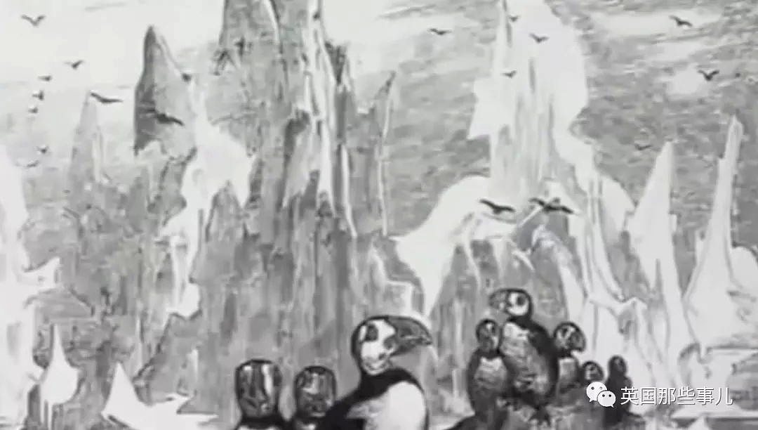 当年，北极熊真的吃过企鹅。直到，他们踩碎了它最后一个蛋...（组图） - 6