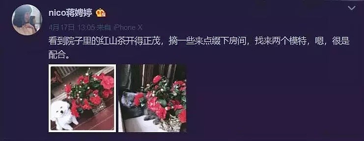 刘强东涉性侵案女主，不是这个大胸网红！（组图） - 33