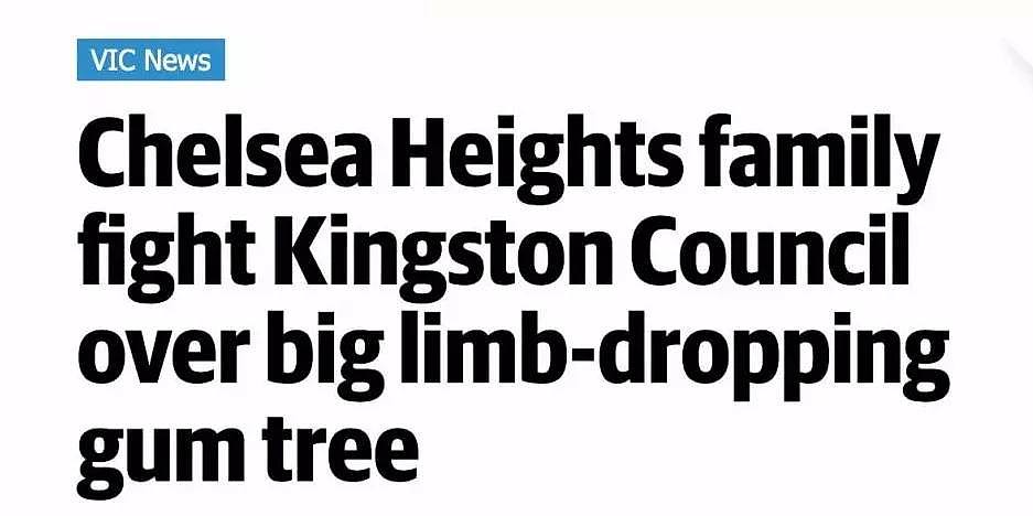 违规私砍两棵树，悉尼华人女子被重罚$8.3万！更离谱的是，这都是邻居的树...（组图） - 12