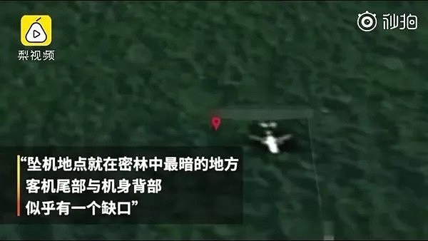 细思极恐！英专家称MH370遗骸在柬埔寨密林，与当年“假消息”惊人雷同！国家队拟出手（组图） - 4