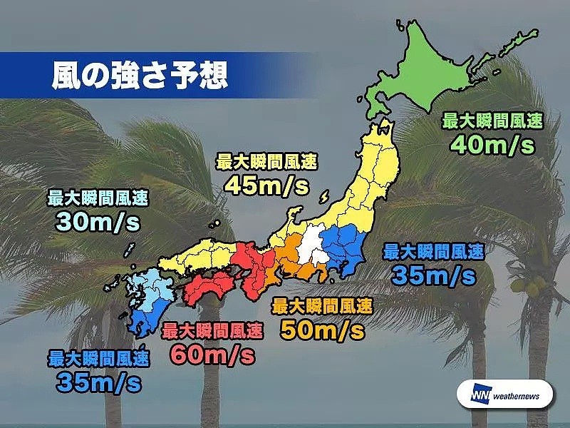 日本遭遇25年来的“最强”台风！超市便利店被抢空，集装箱都被吹倒（组图） - 5