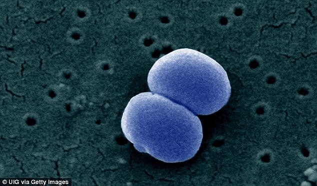 Three new strains of a superbug have been discovered in Victorian hospitals, leaving the sickest patients at risk of life-threatening infections.Â Staphylococcus epidermidis is above
