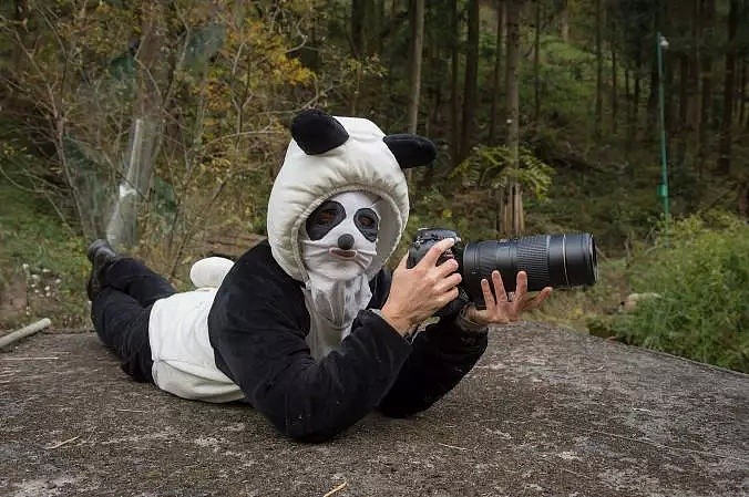 野生熊猫什么样？她蛰伏中国深山三年只为记录，“或许这是人类能拯救濒危物种的希望”（组图） - 7