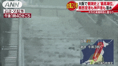 一场台风日本大阪机场变海港！11人死亡，5000人受困，700名中国游客滞留日本…（组图） - 2