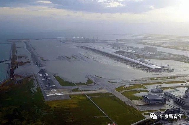 一场台风日本大阪机场变海港！11人死亡，5000人受困，700名中国游客滞留日本…（组图） - 13