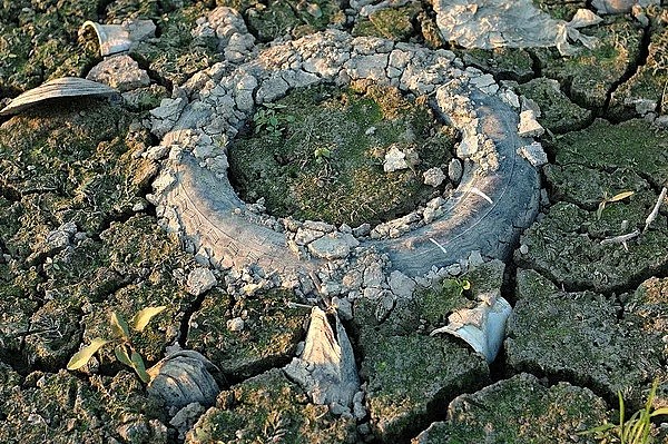 这块来自古代的“饥饿之石”是气候变化的新警告（图） - 1