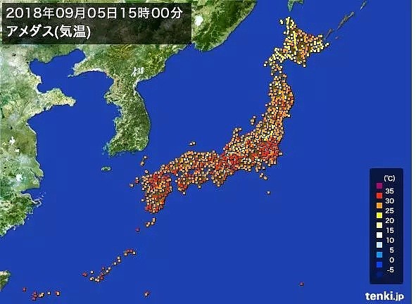 大阪暴雨！北海道大地震！日本人的素质暴露无遗（组图） - 7