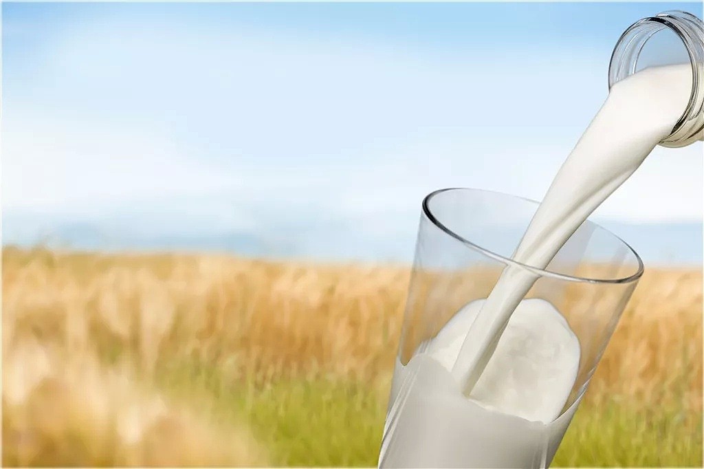 旱灾重挫奶农 澳洲奶价或将上涨10% - 1