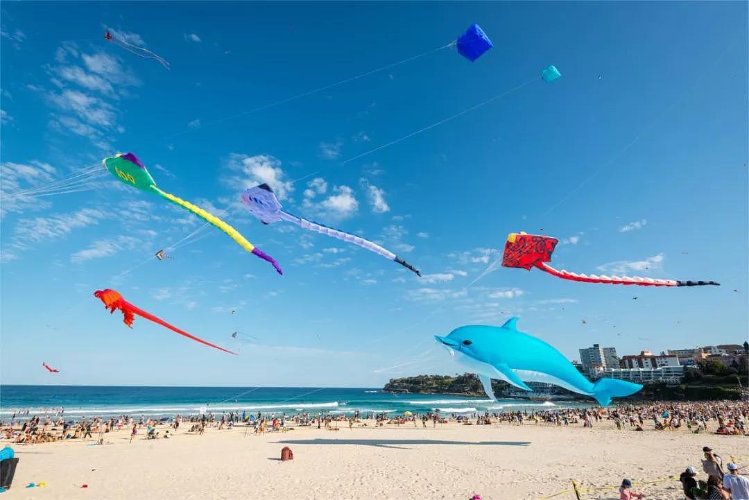 悉尼9月活动清单：风筝节、魔法花园、郁金香节...拿走！你准备打卡哪个？（组图） - 8