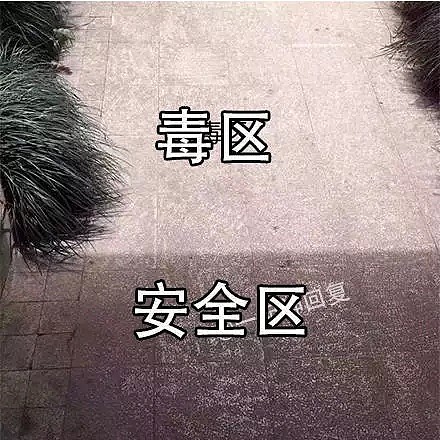 为了变白，中国妹子疯了；为了美黑，外国姑娘拼了...（组图） - 2