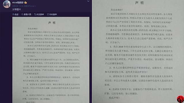 爆料假“刘强东涉案女主角” 凤姐等跟传 都或将被起诉（组图） - 5