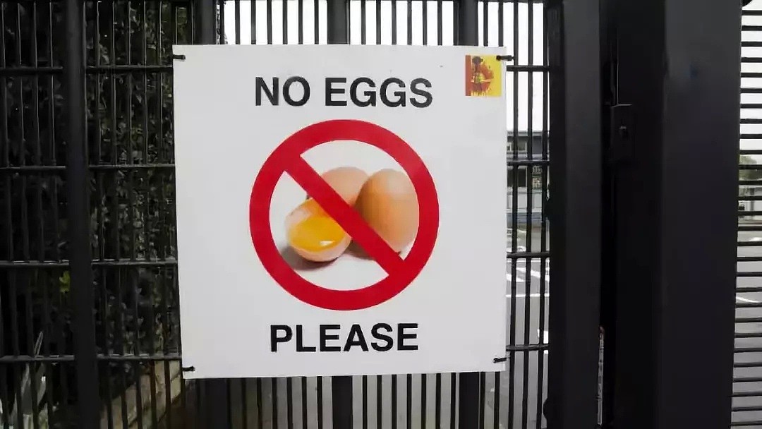 新西兰这所小学禁止全校师生吃鸡蛋，背后的原因有点暖......（组图） - 7