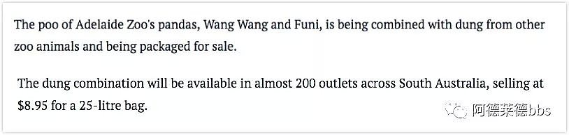 澳唯一一对“招财熊猫”即将还给中国！连“便便”都能卖钱的摇钱树啊！动物园已经快急疯了（组图） - 38