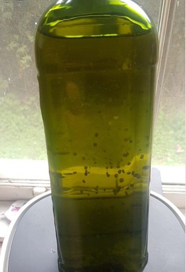 A man has shared an image of his olive oil bottle filled with 'floaties' in it and asked the internet what the strange particles are