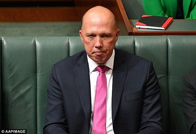 Former foreign minister Julie Bishop flagged the possibility of supporting a motion in Parliament to refer Home Affairs Minister Peter Dutton's eligibility to the High CourtÂ 
