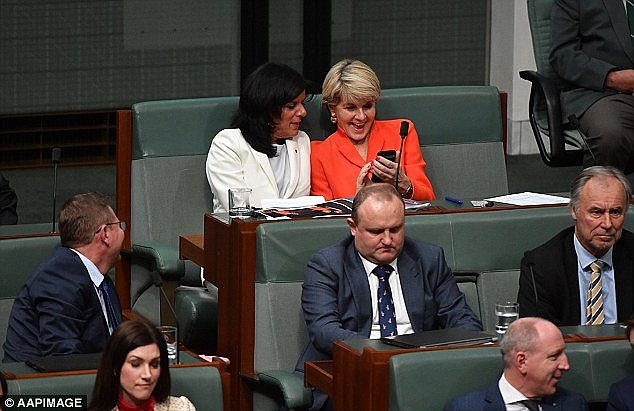 The first-term backbencher, who won the marginal seat of Chisholm off Labor in 2016, also explained why she had chosen not to be a candidate at next year's federal election