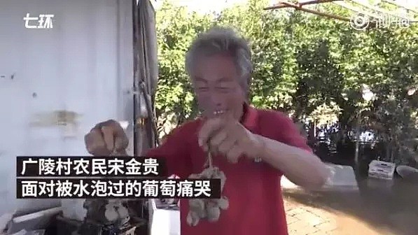 天灾还是人祸？他召集5人小组，有导演有当红女星，走访50个科学家后，决定公布真相！（组图） - 10