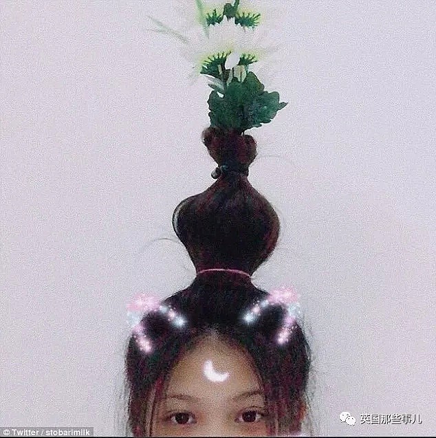 看到碧昂斯的花艺发型，妹子把自己头发当成花瓶，这画风越来越难懂了啊（组图） - 31