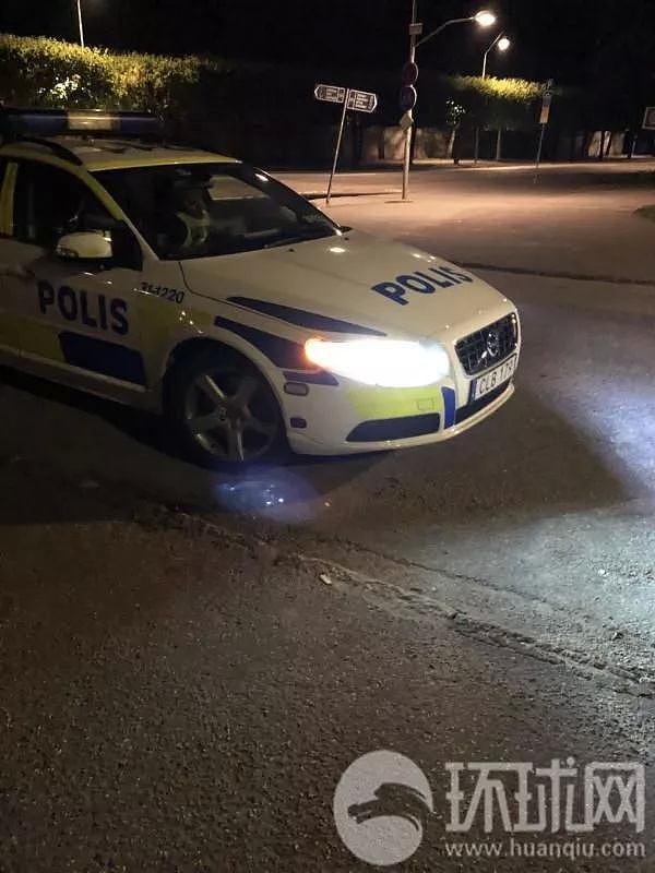 怒！中国游客一家三口遭瑞典警察拖拽殴打后扔在墓地，大使馆提出严正交涉（组图） - 4