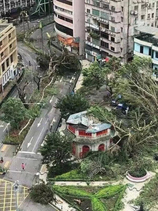 惨烈！台风山竹登陆已致2人死亡，破坏力超强损失或超千亿（组图） - 48