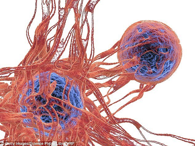 Released last week, the data revealed that in 2018, Australians will have an estimated 197,876 new cases of cancer with 120, 034 of these found in men (image of a skin cancer cell)